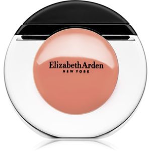 Elizabeth Arden Sheer Kiss Lip Oil barva na rty odstín 02 Nude Oasis 7 ml