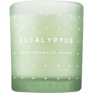 DW Home Eucalyptus vonná svíčka 371,3 g