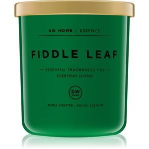 DW Home Fiddle Leaf vonná svíčka 255,85 g