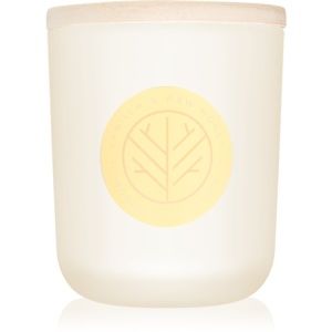 DW Home Vanilla & Raw Honey vonná svíčka s dřevěným knotem 320,49 g