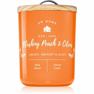 DW Home Farmhouse Blushing Peach & Citrus vonná svíčka 437 g
