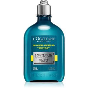 L’Occitane Homme sprchový gel na tělo a vlasy pro muže 250 ml