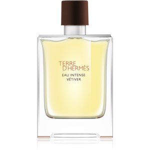 HERMÈS Terre d’Hermès Eau Intense Vétiver parfémovaná voda pro muže 100 ml
