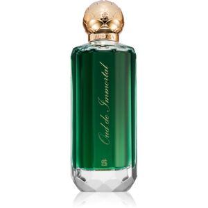 Aurora Oud De Immortal parfémovaná voda pro muže 100 ml