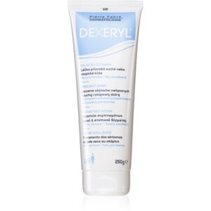 Dexeryl Dexeryl hydratační krém pro posílení ochranné bariéry citlivé a atopické pokožky bez parabenů bez parfemace 250 g