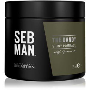 Sebastian Professional SEBMAN pomáda na vlasy pro přirozenou fixaci 75 ml