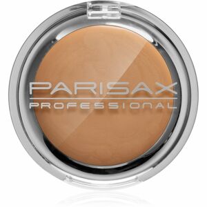 Parisax Professional krémový korektor odstín Natural 3,5 g
