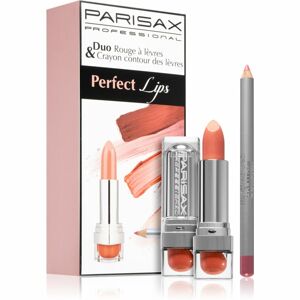 Parisax Perfect Lips Duo sada dekorativní kosmetiky Nude (na rty)