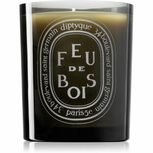 Diptyque Feu de Bois vonná svíčka (Dark) 300 ml