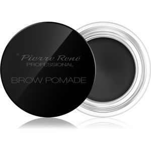 Pierre René Eyes Eyeliner pomáda na obočí odstín 02 Black 4 g