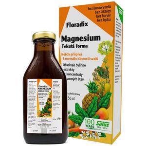 Salus Floradix Magnesium doplněk stravy s vysokým obsahem hořčíku 250 ml