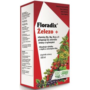 Salus Floradix Železo+ doplněk stravy pro podporu krvetvorby 500 ml