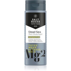 Salt House Dead Sea Men sprchový gel pro muže 3 v 1 250 ml