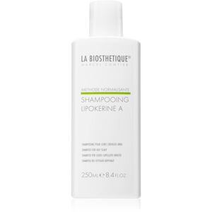 La Biosthétique Methode Normalisante šampon pro mastnou pokožku hlavy 250 ml