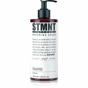 STMNT Care šampon na vlasy, vousy a tělo 750 ml