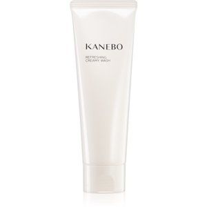 Kanebo Skincare hydratační čisticí krém
