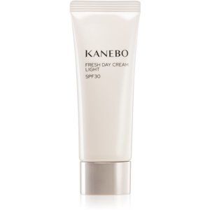 Kanebo Skincare energizující denní krém SPF 30
