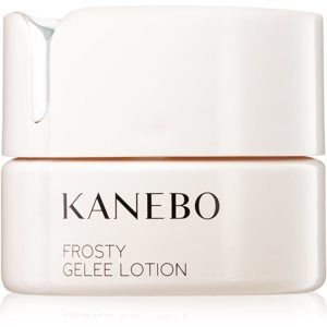 Kanebo Skincare osvěžující pleťový gel s chladivým účinkem 40 ml