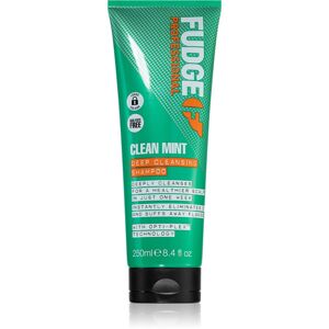Fudge Clean Mint Shampoo šampon na mastné vlasy 250 ml