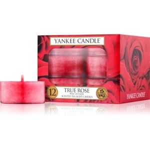 Yankee Candle True Rose čajová svíčka 12 x 9,8 g