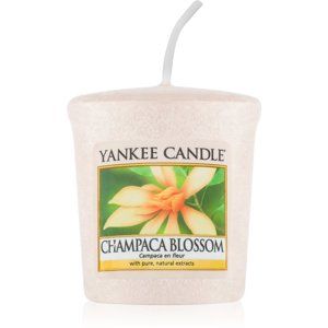 Yankee Candle Champaca Blossom votivní svíčka 49 g