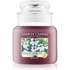 Yankee Candle Madagascan Orchid vonná svíčka 411 g Classic střední