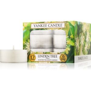 Yankee Candle Linden Tree čajová svíčka 12 x 9,8 g