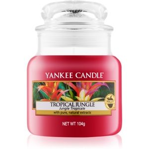 Yankee Candle Tropical Jungle vonná svíčka 104 g Classic malá