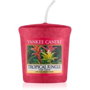 Yankee Candle Tropical Jungle votivní svíčka 49 g