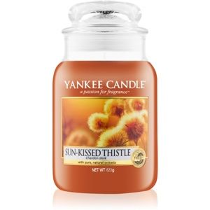 Yankee Candle Sun-Kissed Thistle vonná svíčka 623 g Classic velká