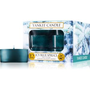 Yankee Candle Icy Blue Spruce čajová svíčka 12 x 9,8 g