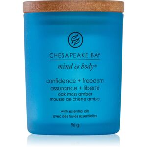 Chesapeake Bay Candle Mind & Body Confidence & Freedom vonná svíčka 96 g
