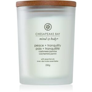 Chesapeake Bay Candle Mind & Body Peace & Tranquility vonná svíčka 250 g