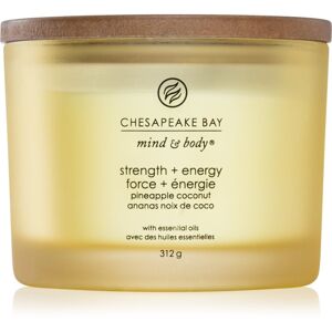 Chesapeake Bay Candle Mind & Body Strength & Energy vonná svíčka I. 312 g