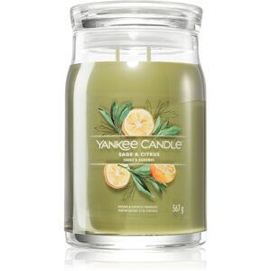 Yankee Candle Sage & Citrus vonná svíčka Signature 567 g