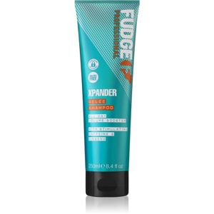 Fudge Care Xpander regenerační šampon pro poškozené a křehké vlasy 250 ml