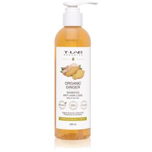 T-LAB Organics Organic Ginger Anti Hair Loss Shampoo posilující šampon pro řídnoucí vlasy 250 ml