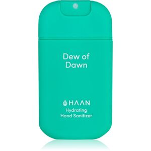Haan Hand Care Hand Sanitizer čisticí sprej na ruce s antibakteriální přísadou Dew of Dawn 30 ml