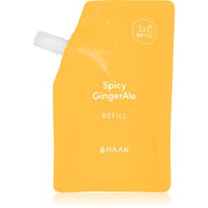 HAAN Hand Care Spicy GingerAle čisticí sprej na ruce s antibakteriální přísadou náhradní náplň 100 ml