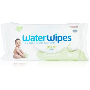 Water Wipes Baby Wipes Soapberry dětské jemné vlhčené ubrousky 60 ks