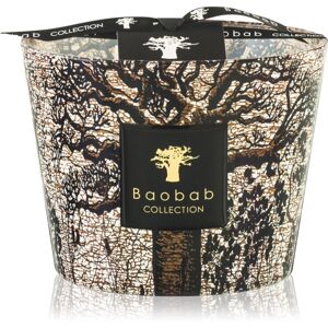 Baobab Collection Sacred Trees Morondo vonná svíčka 10 cm