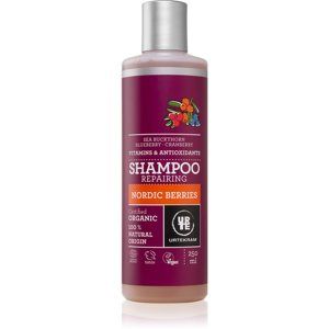 Urtekram Nordic Berries vlasový šampon pro poškozené vlasy 250 ml