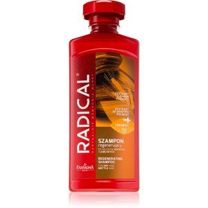 Farmona Radical Dry & Brittle Hair regenerační šampon