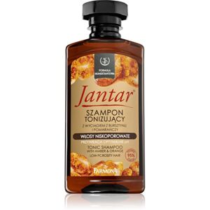 Farmona Jantar Low Porosity Hair čisticí šampon pro objem 330 ml