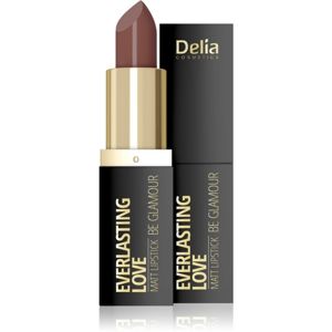 Delia Cosmetics Everlasting Love Be Glamour matná rtěnka odstín 304 fancy 4 g