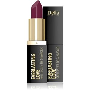 Delia Cosmetics Everlasting Love Be Glamour matná rtěnka odstín 308 cute 4 g
