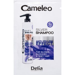 Delia Cosmetics Cameleo Silver šampon neutralizující žluté tóny 10 ml
