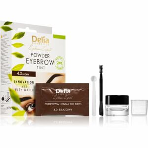 Delia Cosmetics Eyebrow Expert tónovací barva na obočí odstín 4.0 Brown 4 g
