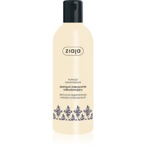 Ziaja Ceramides intenzivně regenerační šampon 300 ml