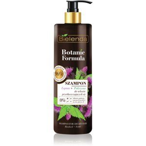 Bielenda Botanic Formula Burdock + Nettle šampon pro mastné vlasy